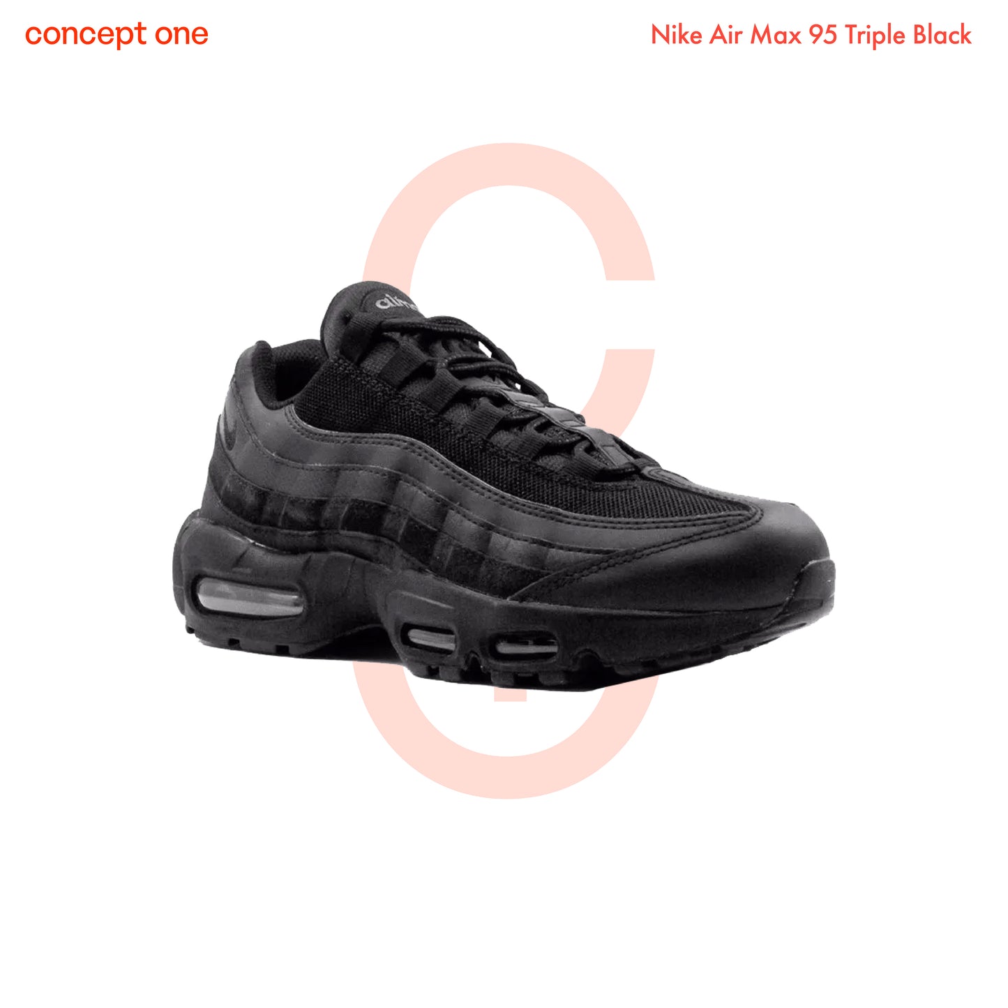 Nike Air Max 95 Triple Black (M)