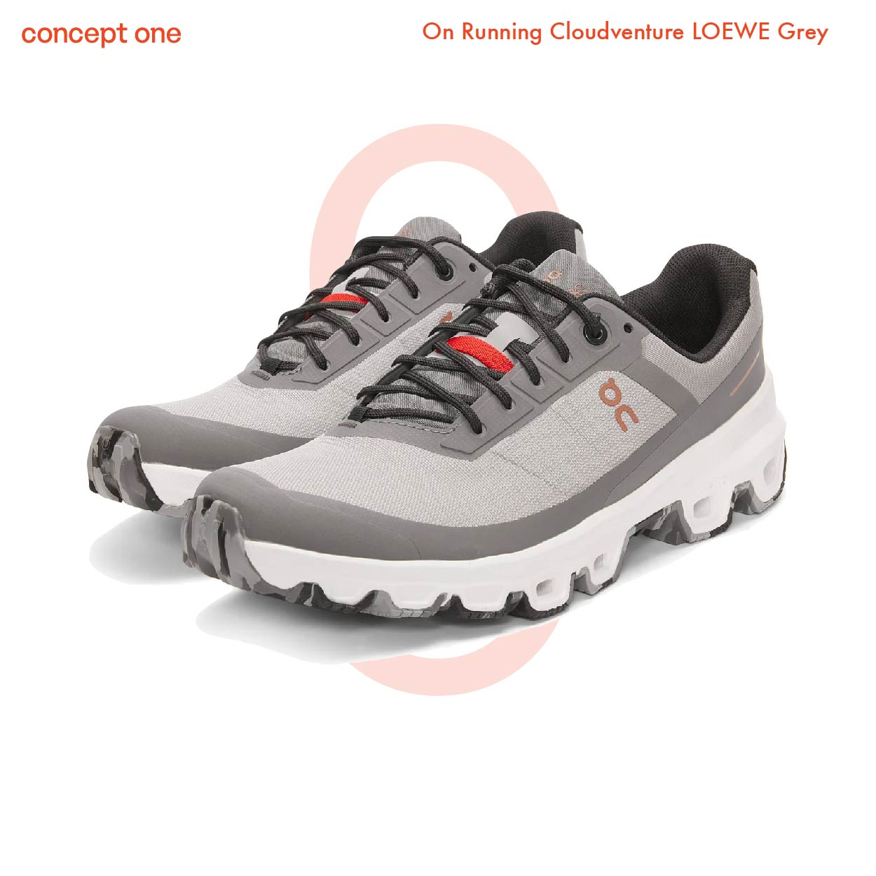 On Running Cloudventure LOEWE Grey (W)