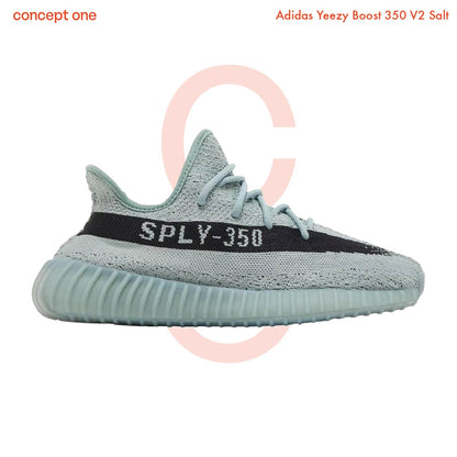 Adidas Yeezy Boost 350 V2 Salt (M)